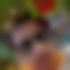 Single Male - Rahul