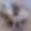 Navapur Male Photo - Yogesh