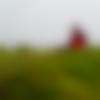Male Photo - Denos