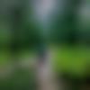 Male Photo - Pulokesh