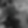 woman seeking men Godhra near me photo - Baria