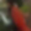 woman seeking men Ulhasnagar near me photo - Komal