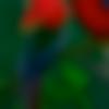 woman seeking men Hoshangabad near me photo - Tanushree