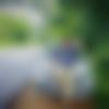 Male Photo - Nithin
