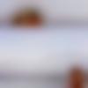 woman seeking men Namakkal near me photo - Ilakkiya