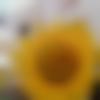 woman seeking men Madanapalle near me photo - Payal