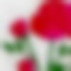 woman seeking men Bhusawal near me photo - ??????