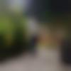 Single Male - Milan