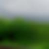 Dabra Male Photo - Umesh