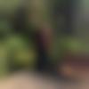 Mithapur Male Photo - Sunny