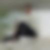 Male Photo - Prashant