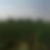 Male Photo - Sameer