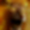 Male Photo - Aboorvan