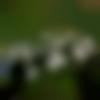 woman seeking men Tundla near me photo - Kr