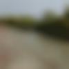 woman seeking men Kosamba near me photo - Rina