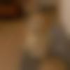 woman seeking men Kolaghat near me photo - Misty