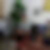 Matrimony Male Profile Nagaland