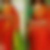Matrimony Female Profile Kakinada