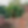 woman seeking men Shikarpur near me photo - Sakshi