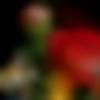 woman seeking men Puttur near me photo - Abhitap