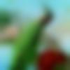 Nidadavole Male Photo - Sweta