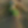 Male Photo - Mohan3