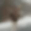Mithapur Male Photo - Rakesh622