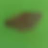Bangarpet Male Photo - Bmlabs