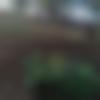Male Photo - Parmeshwar