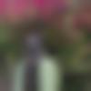 woman seeking men Dhanbad near me photo - Neha