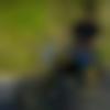 Single Male - Manugupta11