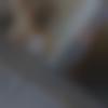 Single Female - Roohie