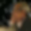 Matrimony Male Profile Delhi Ncr