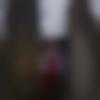 Matrimony Male Profile Nagaland