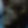 Matrimony Male Profile Rohtak