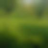 woman seeking men Jharkhand photo - Shital