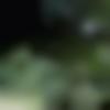 woman seeking men Ashta near me photo - Cyum