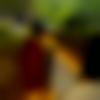 Single Male - Dharmveer