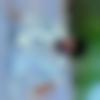 Single Male - Chgopichendh