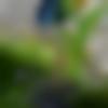 Female Photo - Rashi