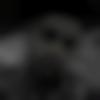 Tamil member profile Photo, Email, Address and Contact Details - Yash