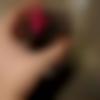 Tulu member profile Photo, Email, Address and Contact Details - Ansh