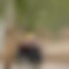 Male Photo - Jayraj
