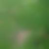 Male Photo - 13398a