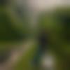 Jorhat Male Photo - Pratyush