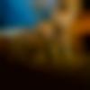 Matrimony Male Profile Erode