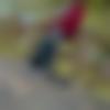 woman seeking men Neemuch near me photo - Mamta