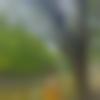 woman seeking men Dhekiajuli near me photo - Shathi