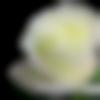 woman seeking men Vinukonda near me photo - Shuva