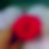woman seeking men Kochi near me photo - ?????